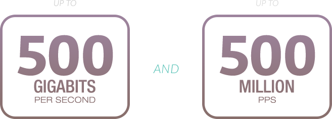 Up to 60 Gigabytes per second (60 Gbps) and 6 million PPS (6 MPPS).